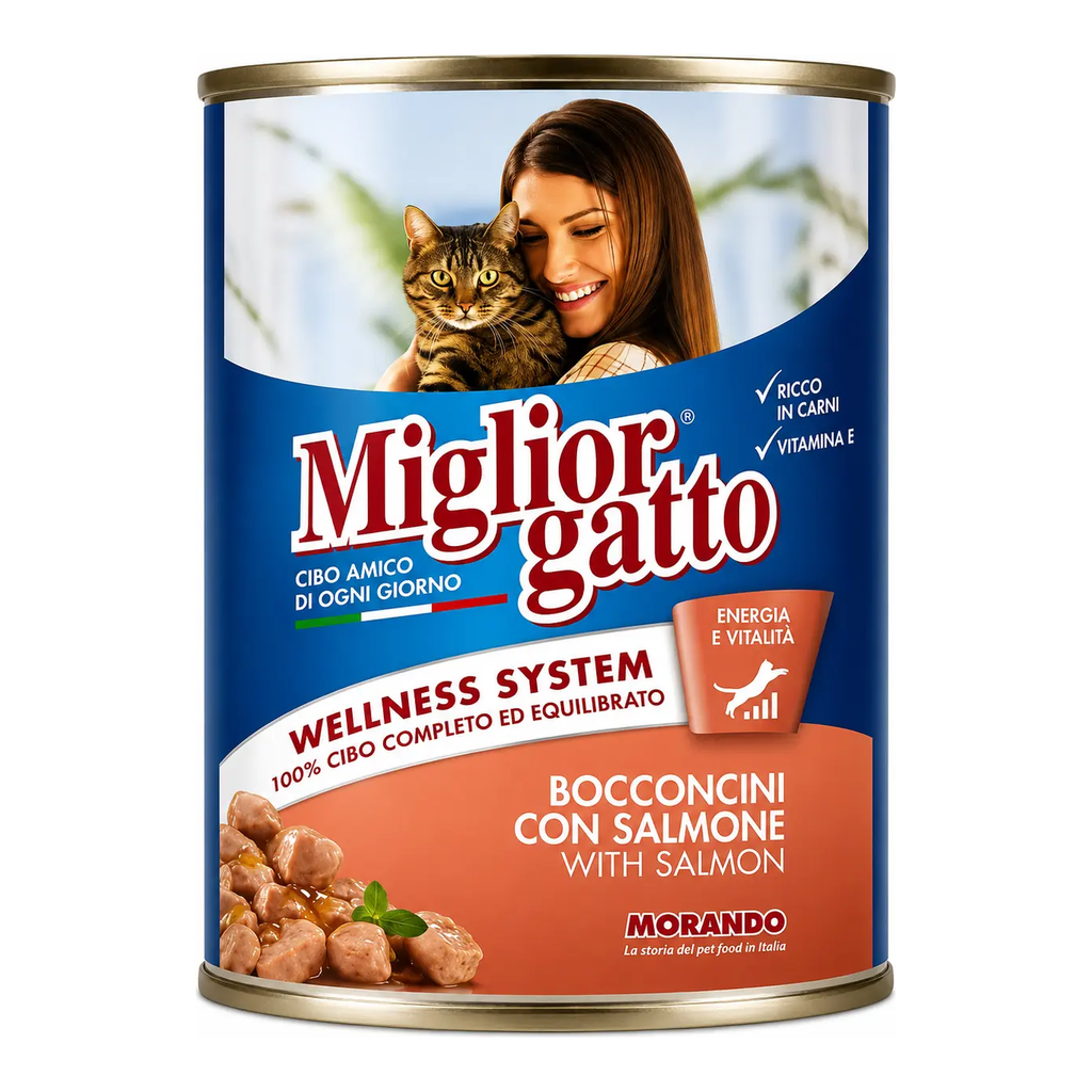 Miglior gatto Salmone
