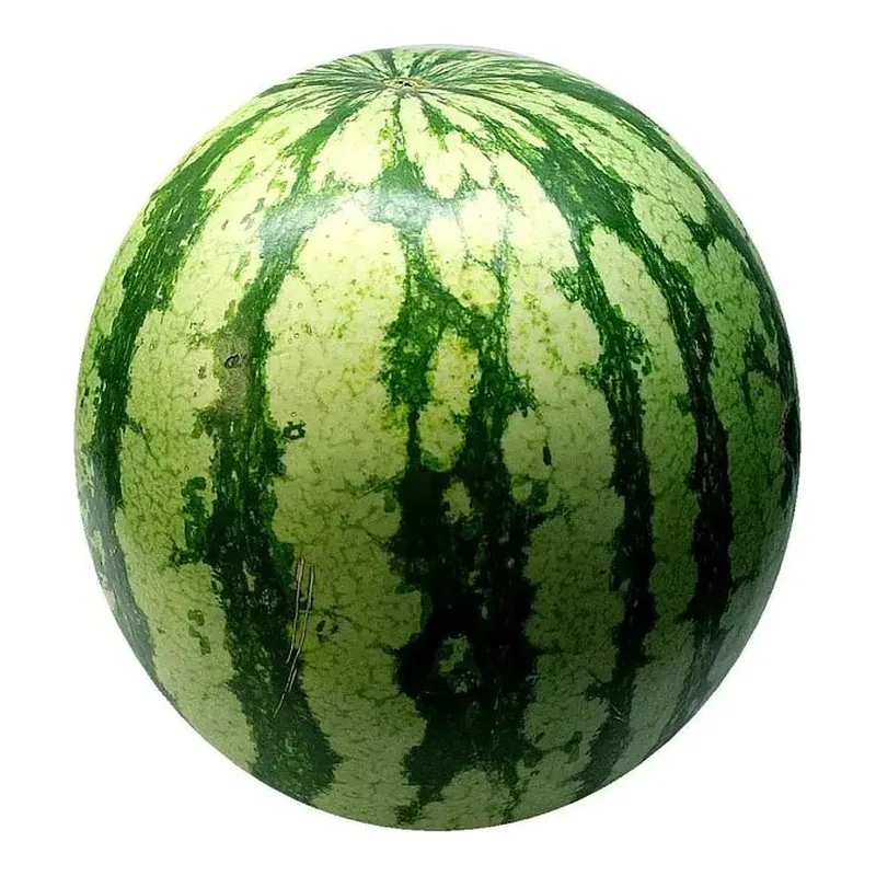 Fresh Mini Watermelon x Kg