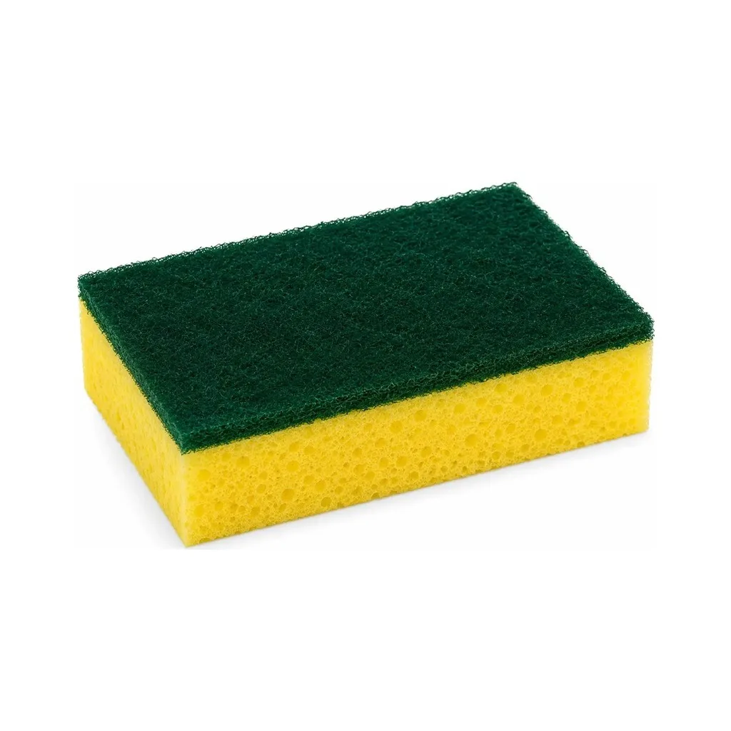 SPONGE ABRASIVE SMALL 1/1