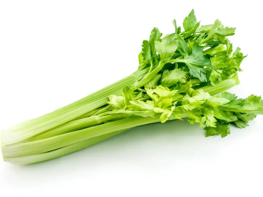 Celery 1Pc