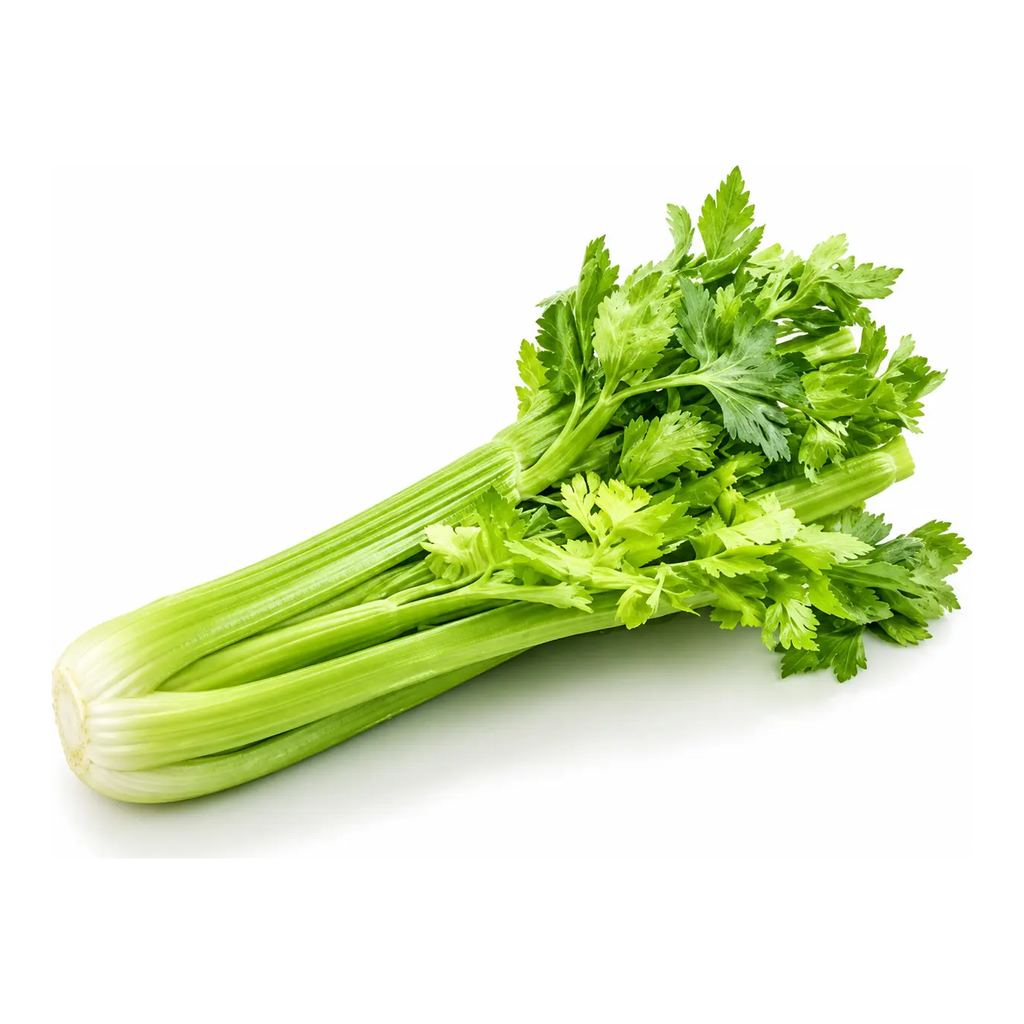 Celery 1Pc