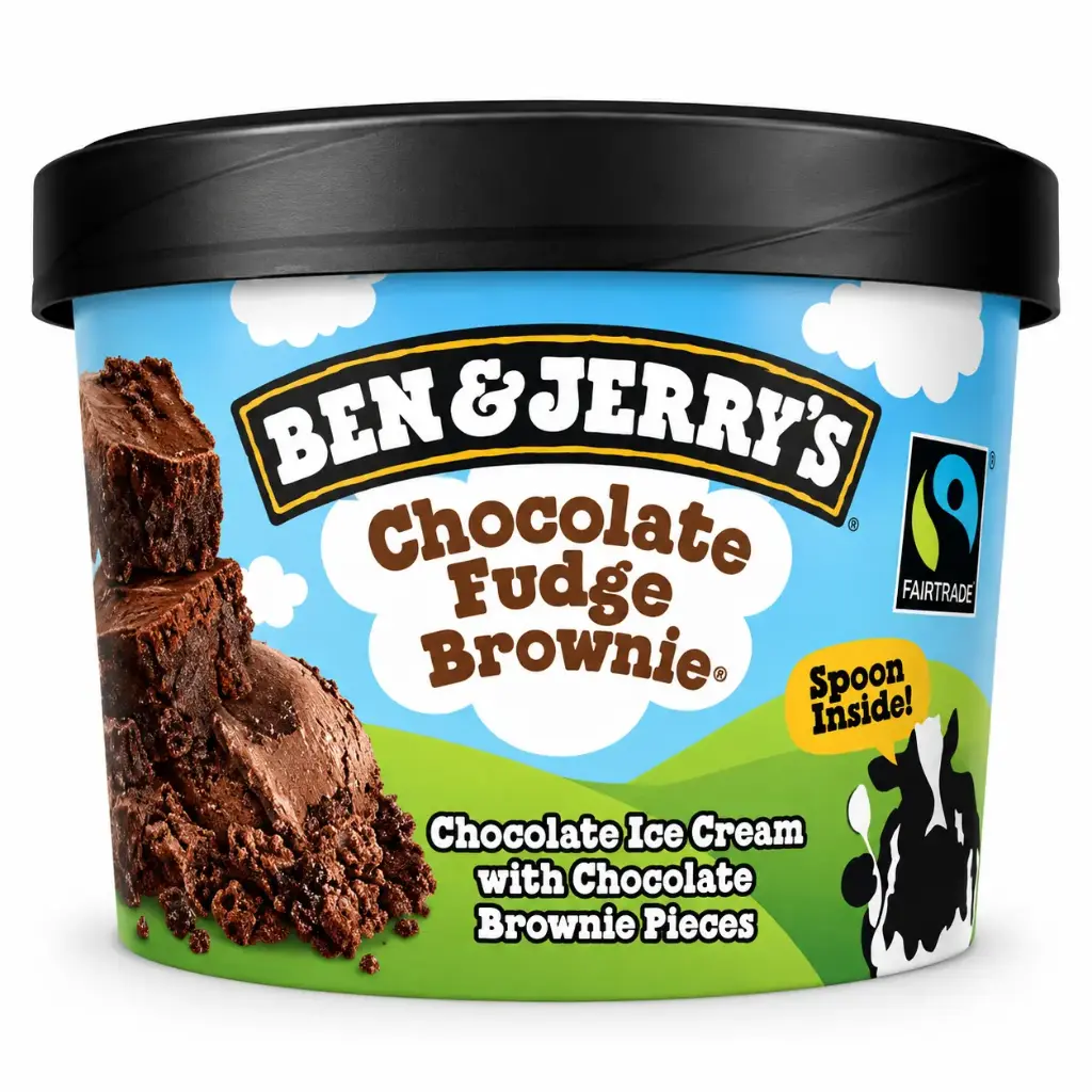 Ben & Jerry's Chocolate Fudge Brownie Ice Cream x100ml