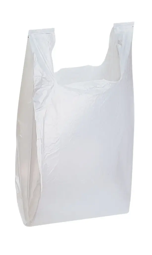 Biodegradable Shopping Bag