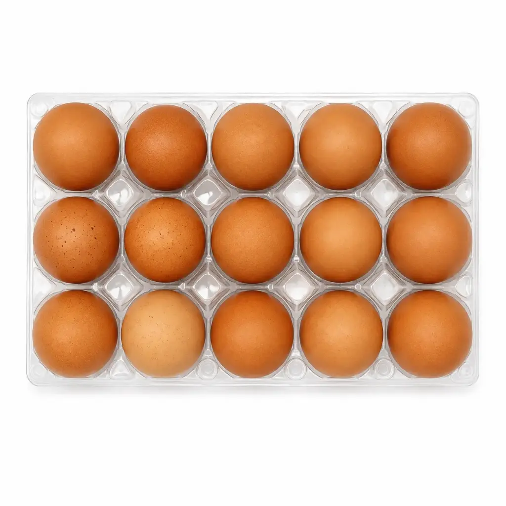 Gattfarm Fresh Egg X15