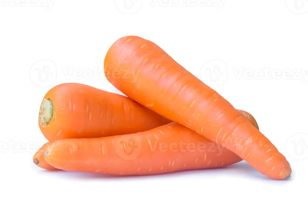 Fresh Carrots /Kg