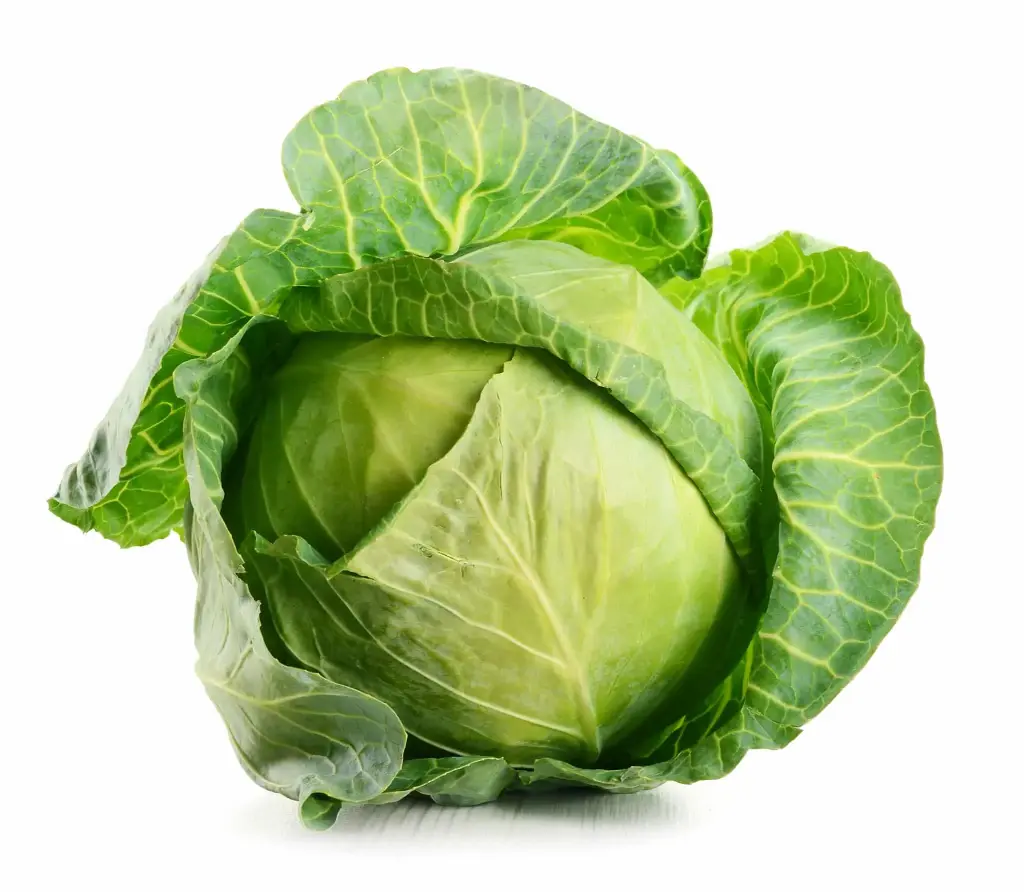 Fresh Cabbage X Kg