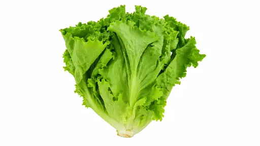 Fresh Lettuce 500g