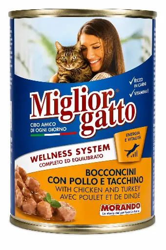 Miglior gatto Pollo
