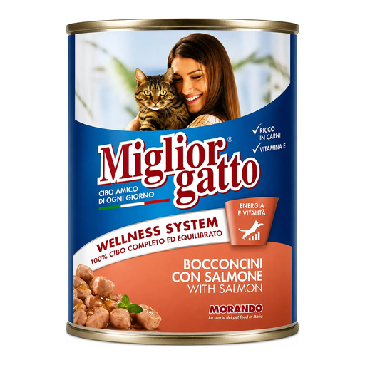 Miglior gatto Salmone