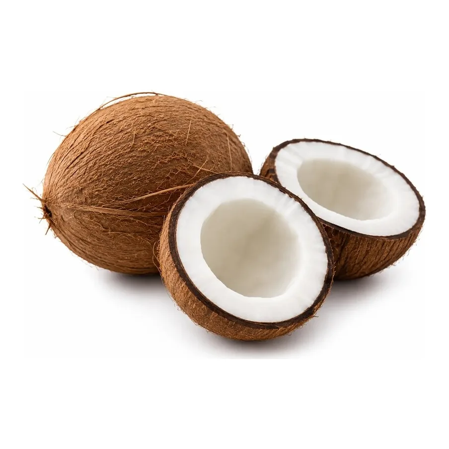 Cocco 