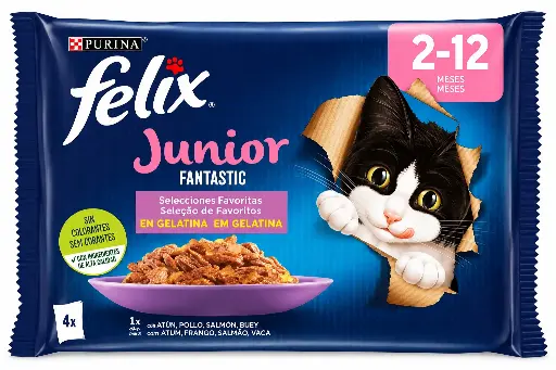 [451022] Felix Tasty Salmon Cat Food Pouches 4x85g