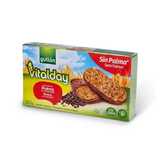 Gullon Vitalday Chocolate Avena 220g