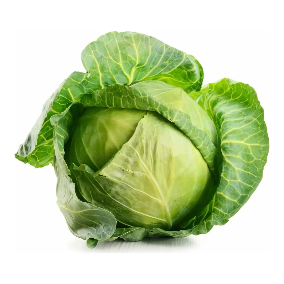 Fresh Cabbage X Piece